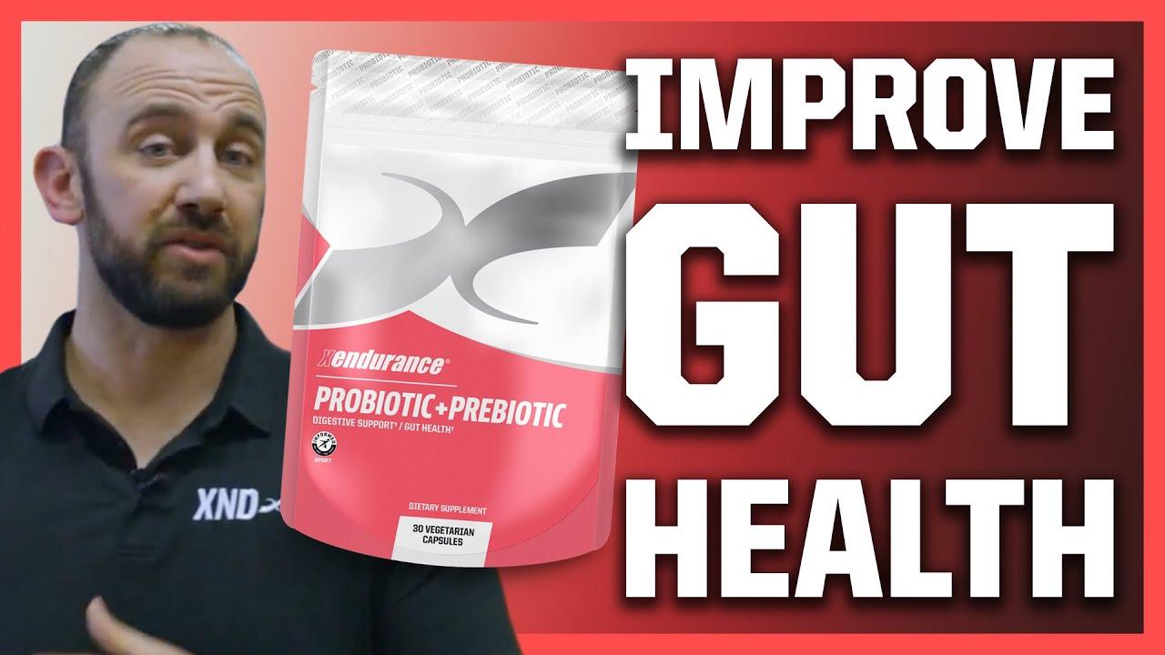 Xendurance Probiotic + Prebiotic