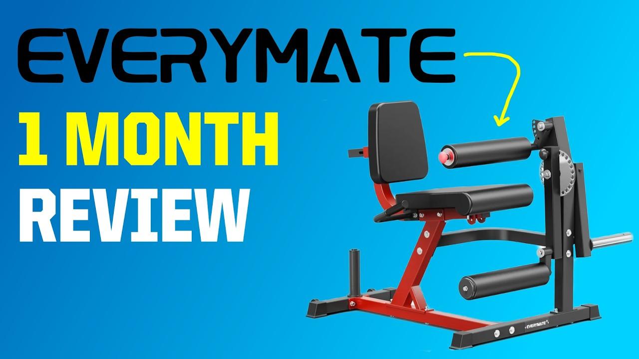 Everymate 3-in-1 Leg Extension & Curl Machine